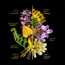 Load image into Gallery viewer, Sacred Body Mist
